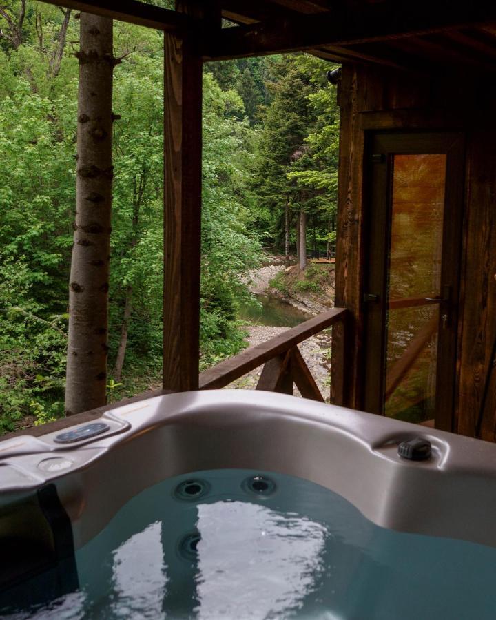 Novosiele Residence - Nad Gorska Rzeka - Lesne Spa Sauna Jacuzzi - Bieszczady Bystre  Экстерьер фото