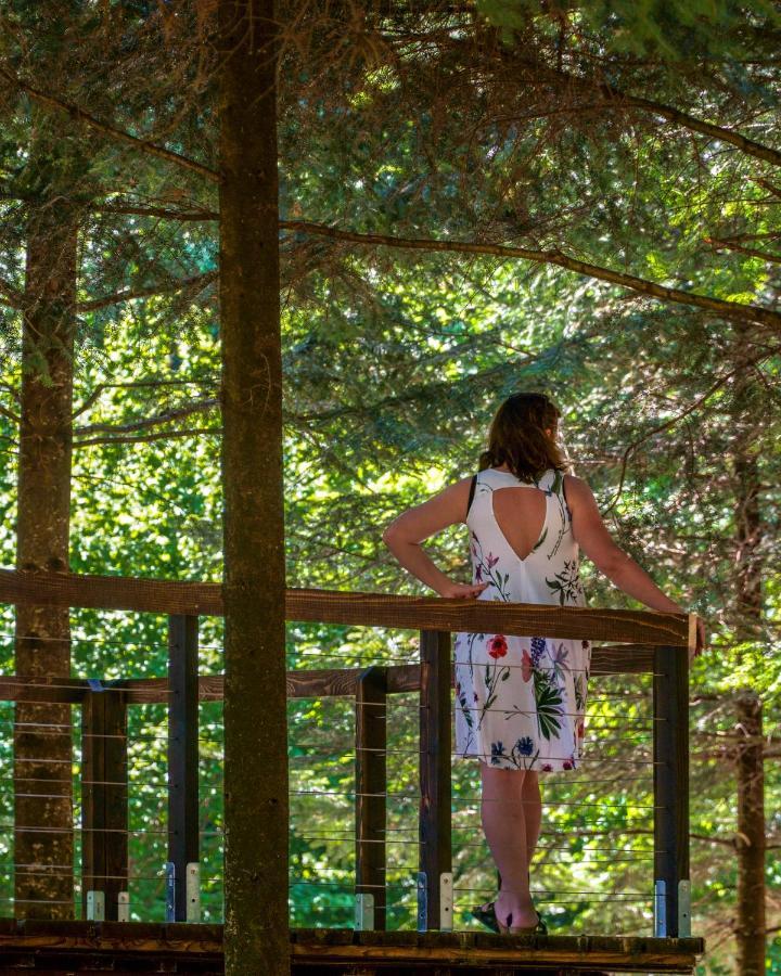 Novosiele Residence - Nad Gorska Rzeka - Lesne Spa Sauna Jacuzzi - Bieszczady Bystre  Экстерьер фото